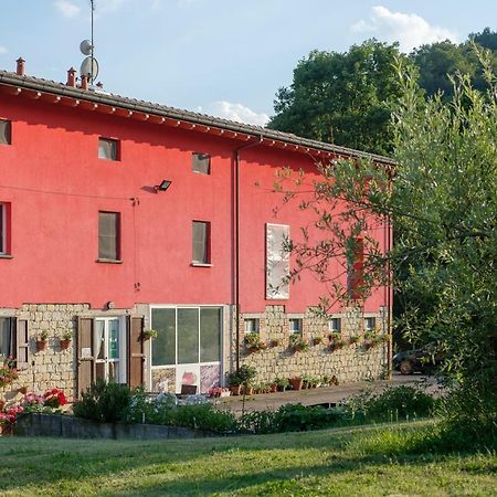 Al Sasseto B&B Montagnana  ภายนอก รูปภาพ